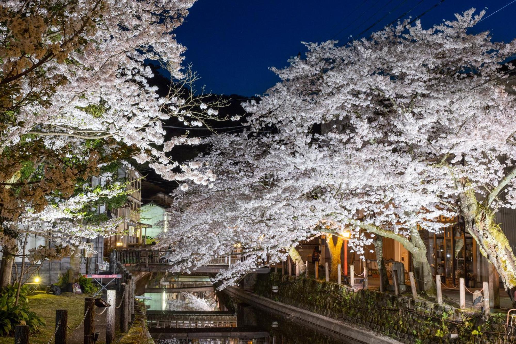 Mikuniya Hotel Toyooka  Buitenkant foto