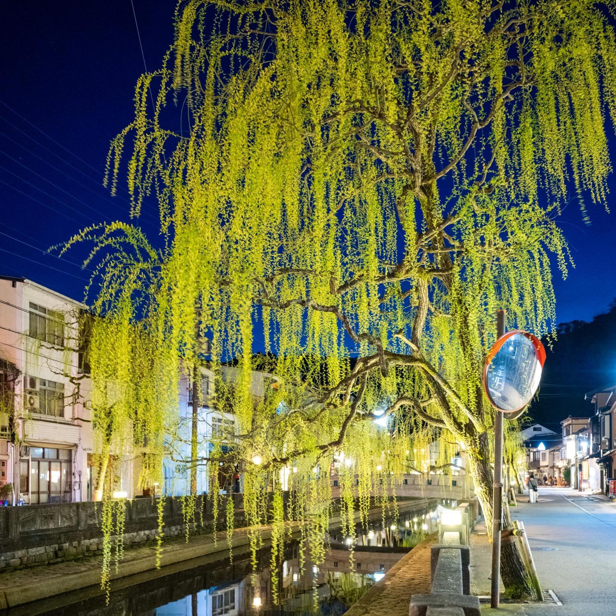 Mikuniya Hotel Toyooka  Buitenkant foto